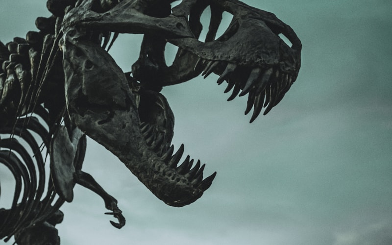 Dinosaurs
